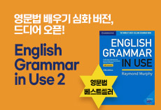 English Grammar in Use 2